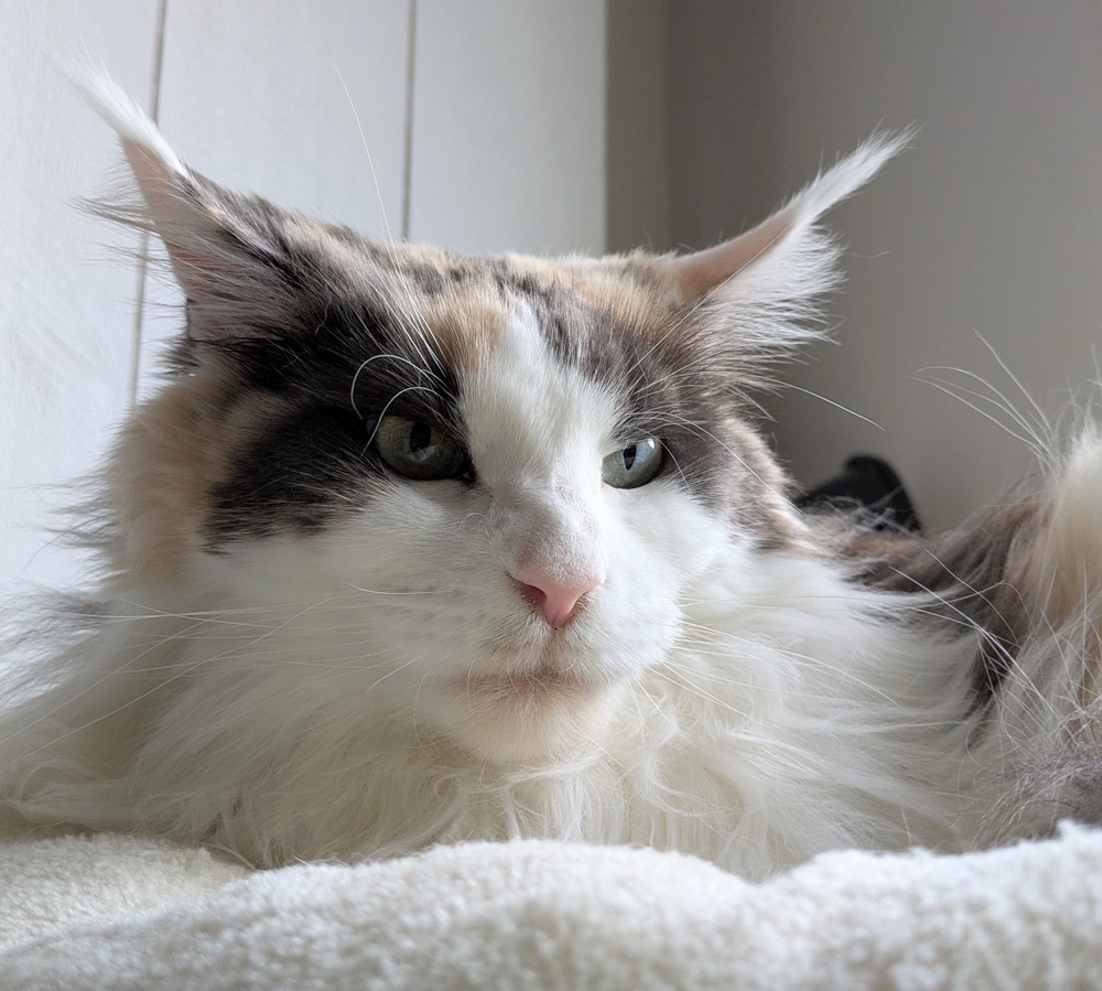 PXL 20251028 100814366.MP