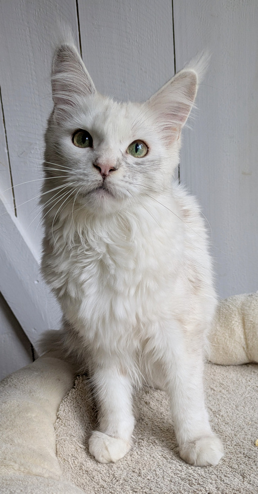 PXL 20251027 120843370