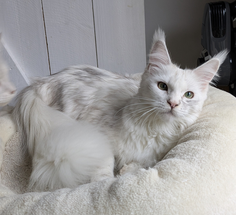 PXL 20251027 120902552