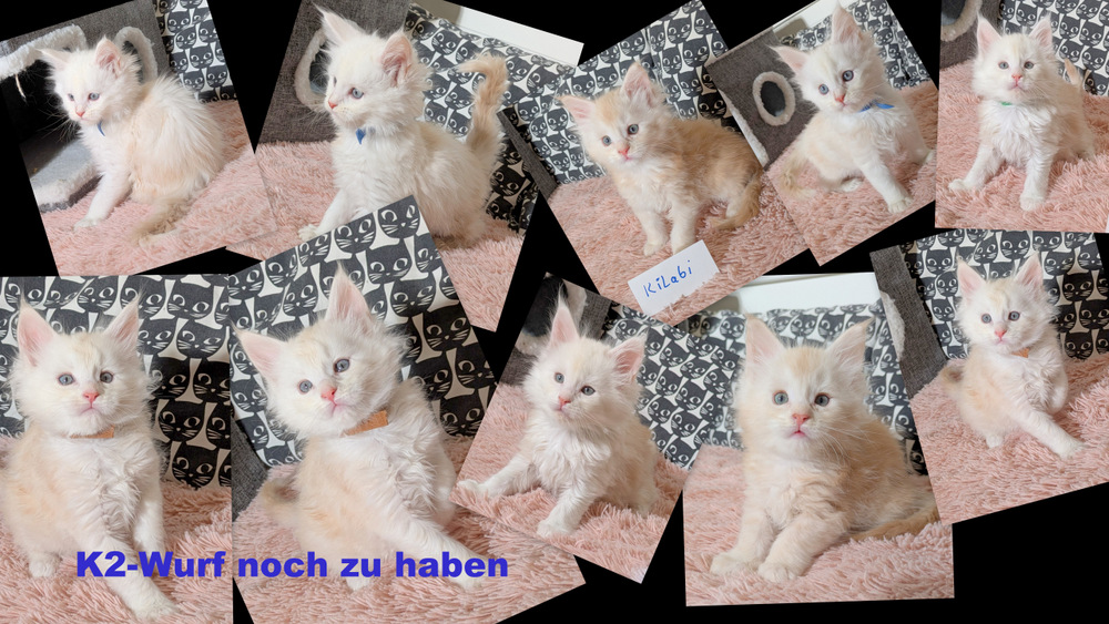 K2 red noch frei collage