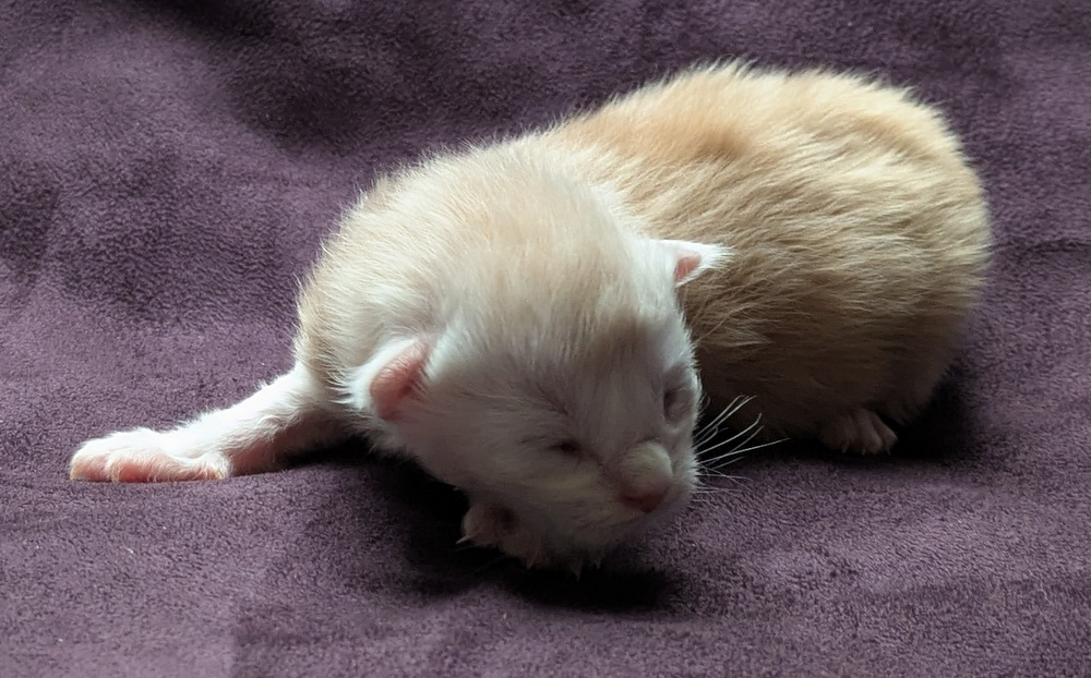 PXL 20251203 122037015