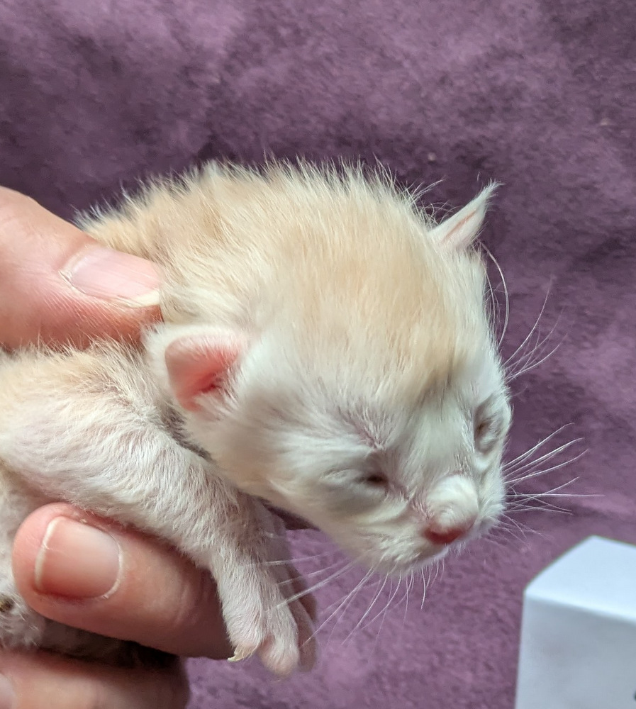 PXL 20251203 122055403.MP