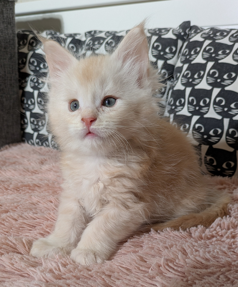 PXL 20260109 114132963.MP