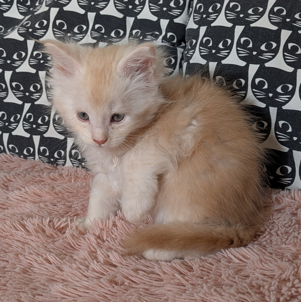 PXL 20260109 114144187.MP