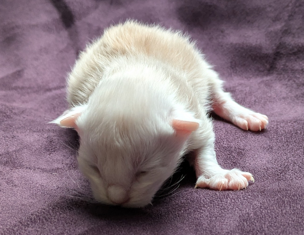 PXL 20251203 122338069