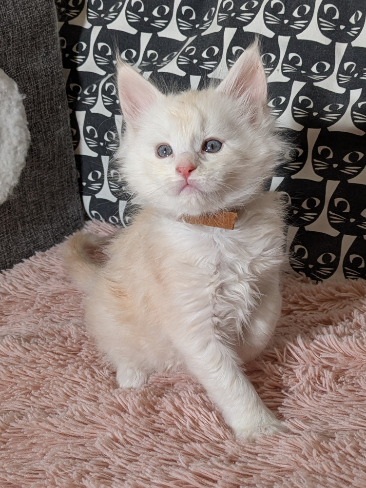 PXL 20260109 113643272