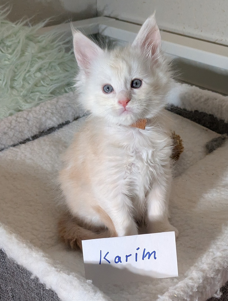 PXL 20260109 113918865