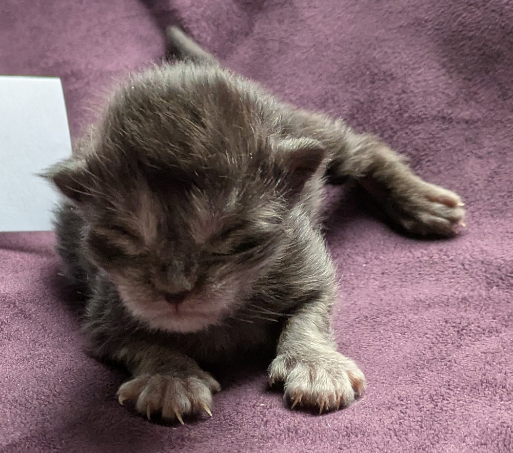 PXL 20251203 122713483