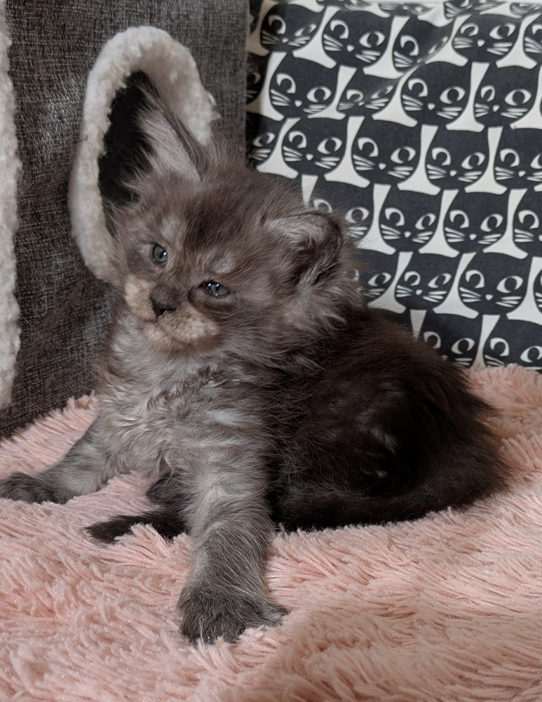 PXL 20260109 120622761.MP