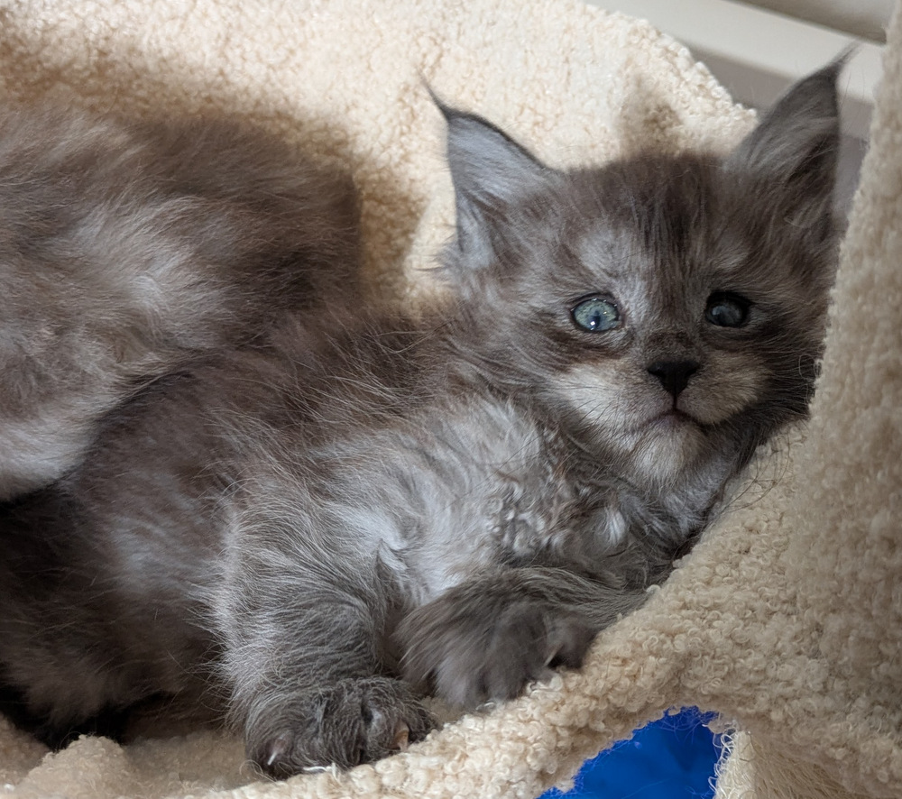 PXL 20260109 121722009