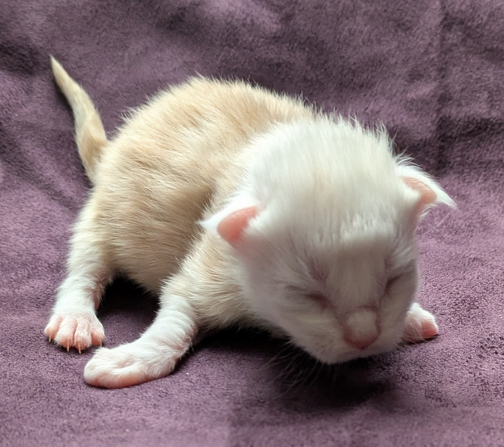 PXL 20251203 122516875