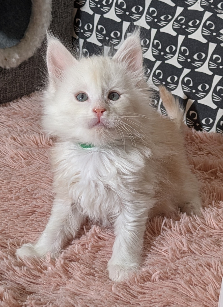 PXL 20260109 115345653