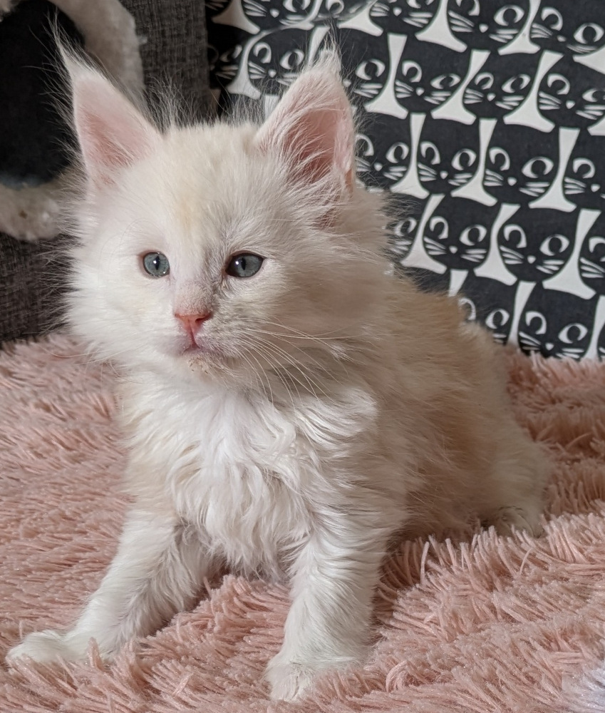 PXL 20260109 115403266.MP