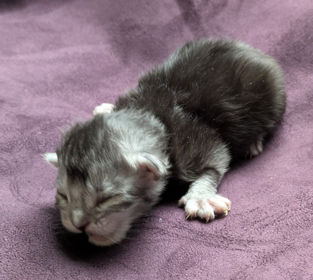 PXL 20251203 123128332