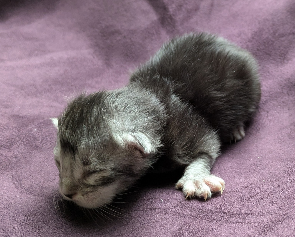 PXL 20251203 123130200.MP