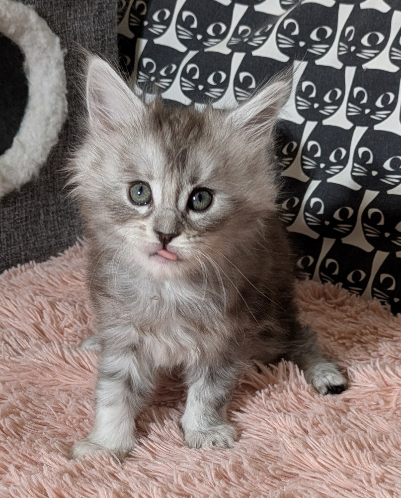 PXL 20260109 121221526