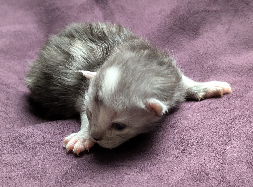 PXL 20251203 123214174