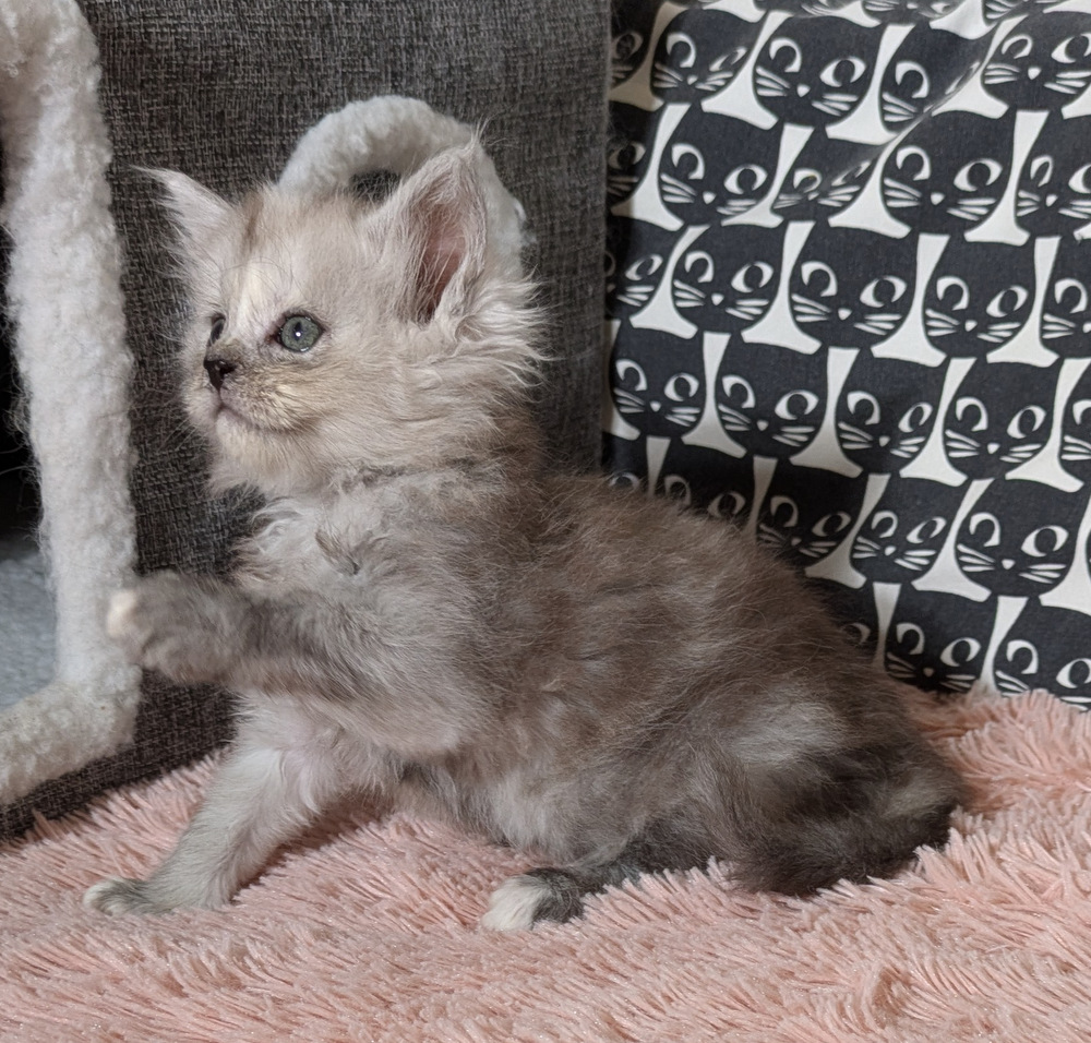 PXL 20260109 120146699