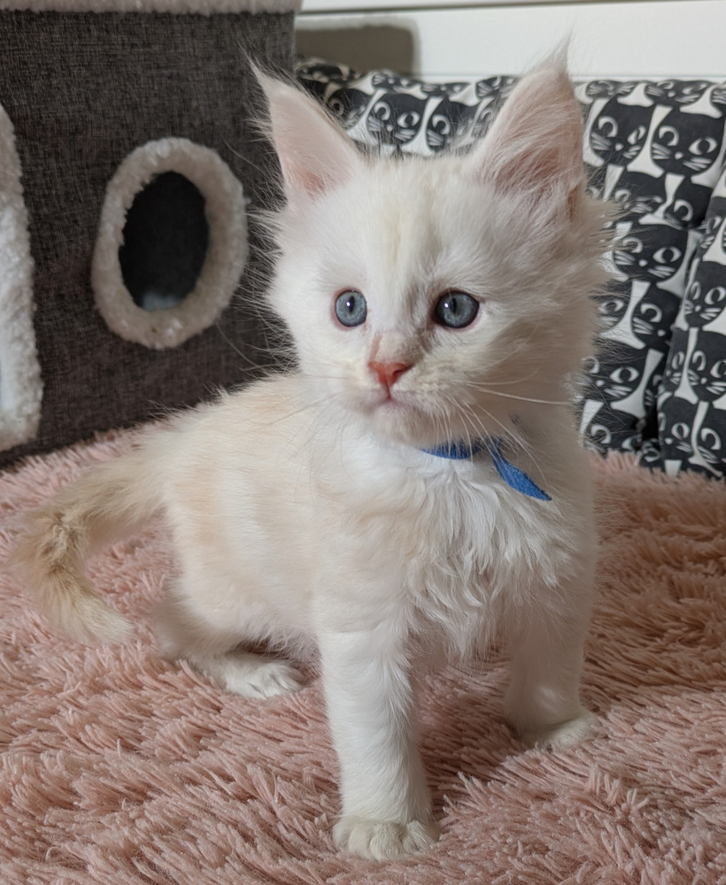 PXL 20260109 114745119