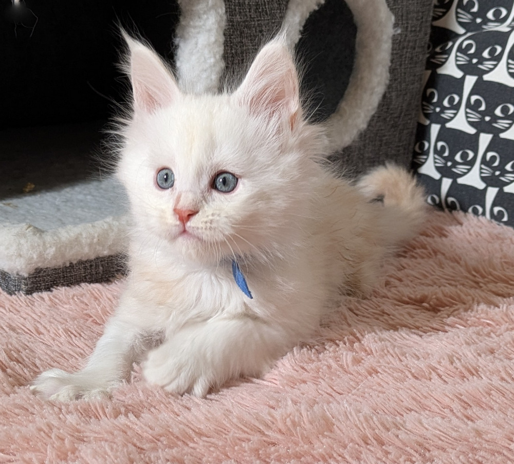 PXL 20260109 114826530