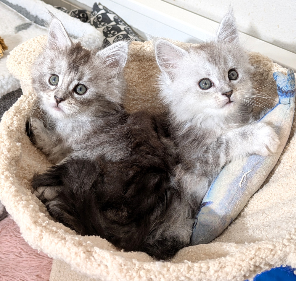 PXL 20260109 121516611