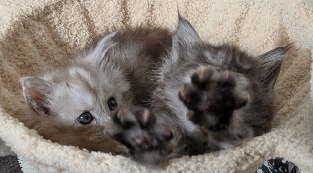 PXL 20260109 121700772