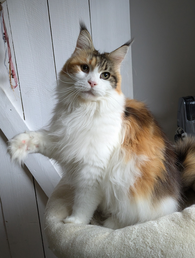 PXL 20251027 120550139