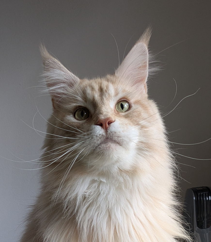 PXL 20251027 121247800