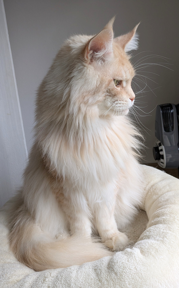 PXL 20251027 121253500