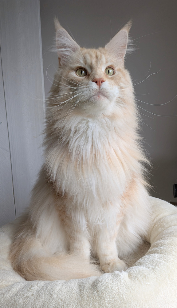 PXL 20251027 121258413