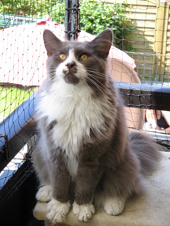 Bino8.8.13Bild3