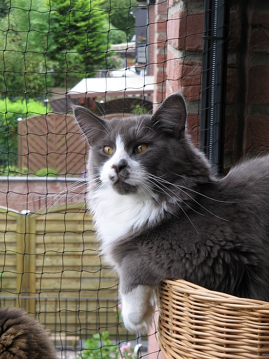 Bino8.8.13Bild5