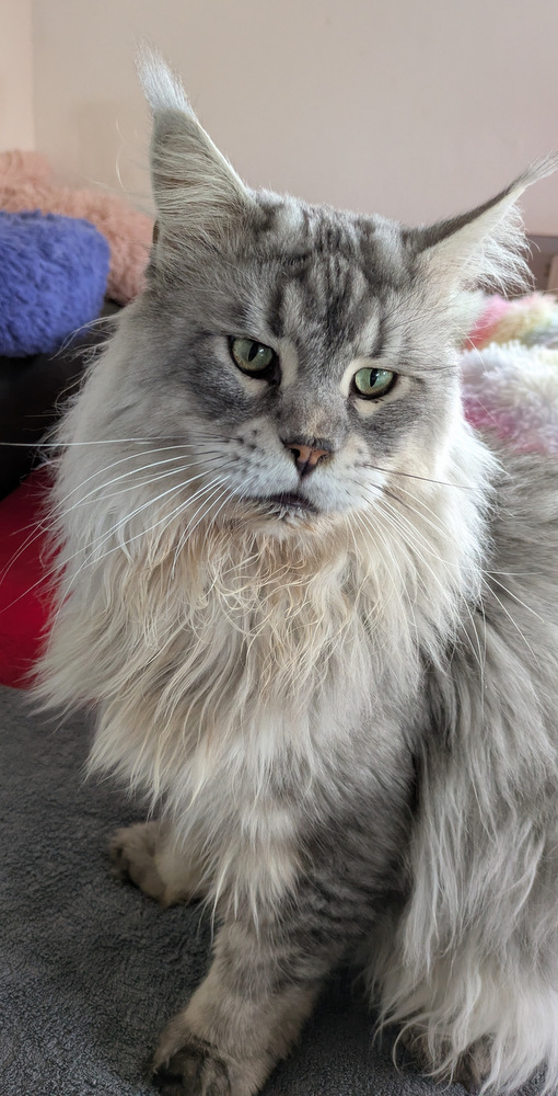 PXL 20250929 094035954